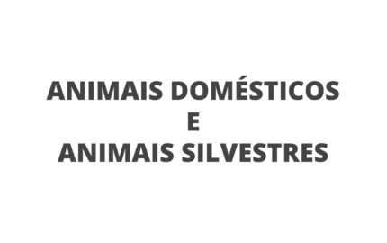 Animais Domésticos e Silvestres