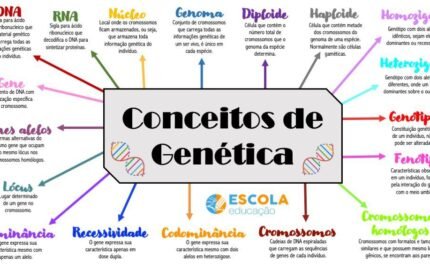 Exercícios de Genética e Hereditariedade