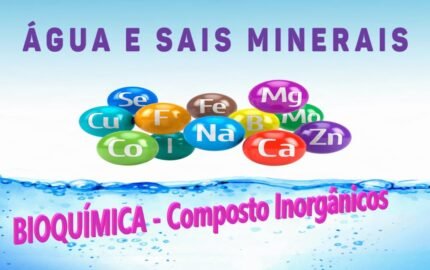 Atividade sobre Água e Sais Minerais