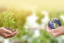 Questões Meio Ambiente