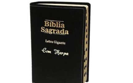 Bíblia – Verdadeiro ou Falso?