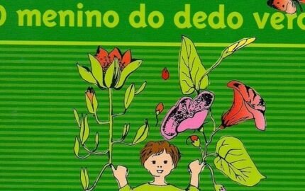 O Menino do Dedo Verde
