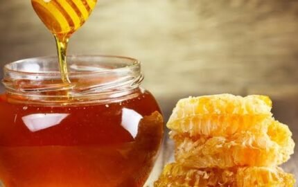 Curiosidades sobre o Mel