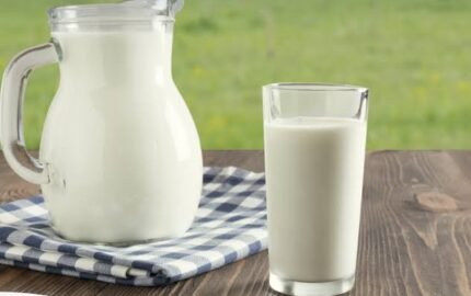 Curiosidades sobre o Leite