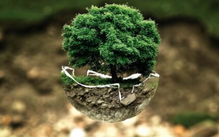 Atividade sobre Recursos Naturais